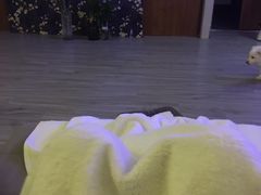 -鸿鹄足浴店(东门店)