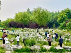 -汉长安城未央宫国家考古遗址公园