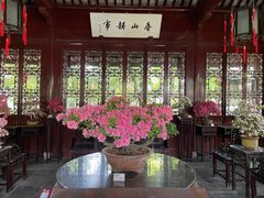 -上海醉白池公园