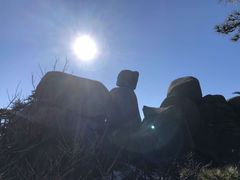 景点-天柱山风景区