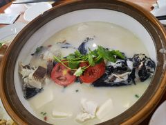 -全乐鱼馆·淳牌有机鱼直营店