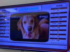 -北京观赏动物医院·24小时大型综合·猫专科·异宠专科