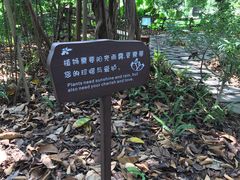 -华侨城湿地公园