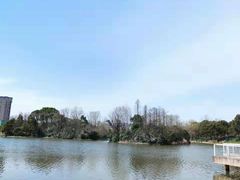-新江湾城公园