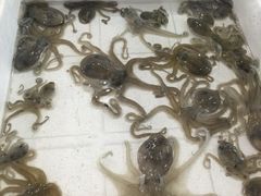 -西门岛码头海鲜馆