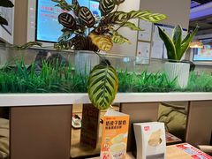 -嘉和一品粥(魏公村店)