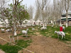 -九十九顶毡房(阜石路店)