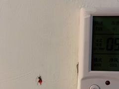 -老味道民宿(栈桥店)