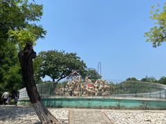 -保定市动物园