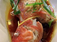 -冯姐生蚝(迎宾广场店)