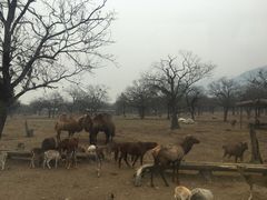 -西安秦岭野生动物园
