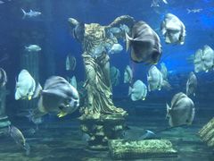 -梦幻海洋王国(吾悦广场张家港店)