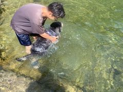 -安吉龙王山峡谷漂流