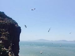 -海驴岛(荣成市)