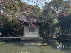 -兰亭风景区