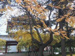 -金城公园