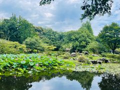 -杭州植物园