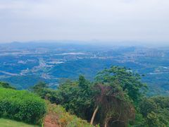 -黄埔油麻山森林公园