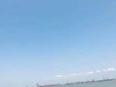 -大湾区中央湿地公园