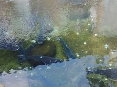 -耕渔小院·湖南鱼鲜(望城店)