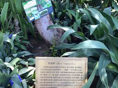 -国家植物园南园