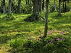 -南京市江宁方山