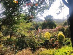 -广州市帽峰山景区