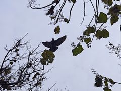 -平遥县衙