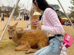 -盈香心动乐园