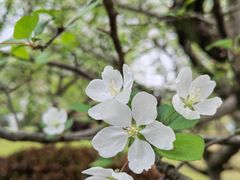 -杭州黄龙洞
