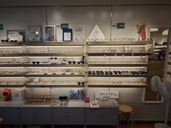 -刺鸟眼镜(黄岛直营店)