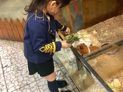 -上海大自然野生昆虫馆(东方明珠·爬宠昆虫探索中心)