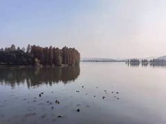 -东湖落雁景区