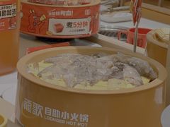 -龍歌自助小火锅(漳州二路爱购店)
