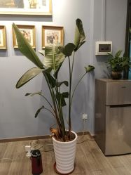 -菲林婚纱摄影工作室