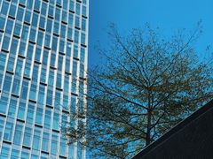 -深圳四季酒店·馥自助餐厅