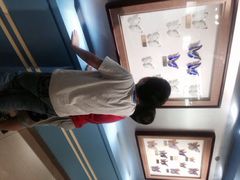 上海昆虫博物馆-上海昆虫博物馆