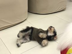 -怪兽屋·羊驼·猫咖·狗咖(俊华广场店)