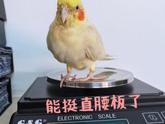 -雨林宠物医院 非犬猫异宠专科