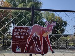 -泗洪洪泽湖湿地景区
