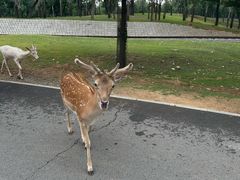 -秦皇岛野生动物园