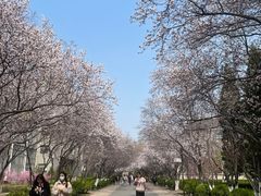 -山东师范大学(千佛山校区)