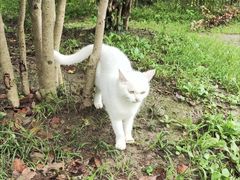 -狼山风景名胜区