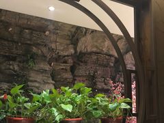 景观位-洪湘记川湘·甲鱼馆(四海凯悦美食广场店)