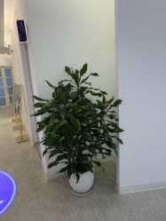 点击看大图 -天津伊美尔医疗整形美容专科医院