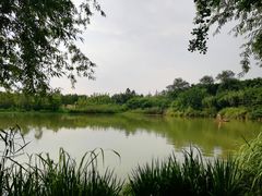 -白鹭湾湿地公园