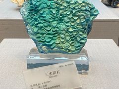 -湖南省地质博物馆