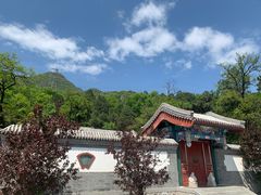 -阳台山自然风景区