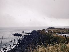 -涉地可支