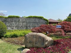 -嘉定紫藤园